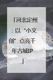 河北定州：以“小文创”点亮千年古城IP