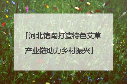 河北馆陶打造特色艾草产业链助力乡村振兴