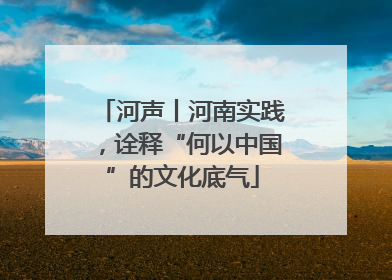 河声丨河南实践，诠释“何以中国”的文化底气