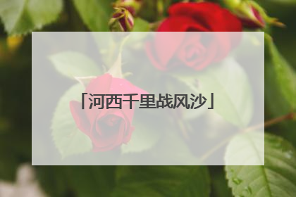 河西千里战风沙