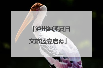 泸州纳溪夏日文旅盛宴启幕