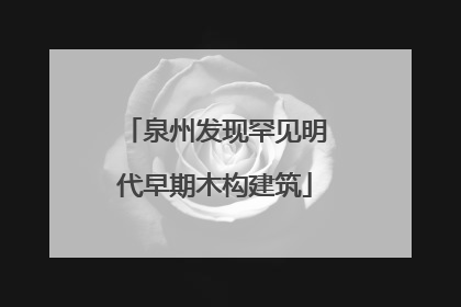 泉州发现罕见明代早期木构建筑