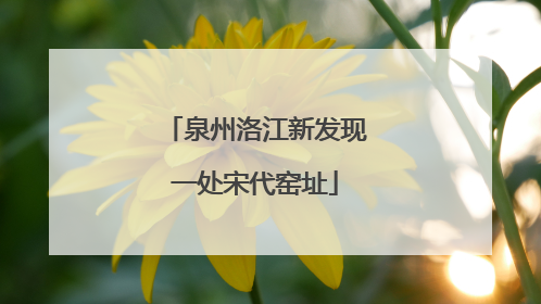 泉州洛江新发现一处宋代窑址
