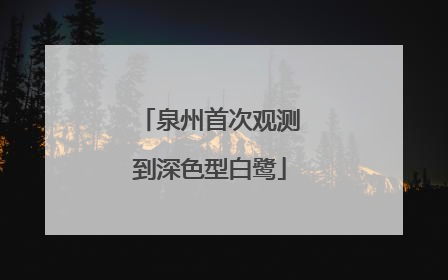 泉州首次观测到深色型白鹭
