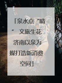 泉水点“睛” 文旅生花 济南以泉为媒打造新消费空间