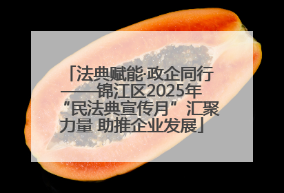 法典赋能·政企同行——锦江区2025年“民法典宣传月”汇聚力量 助推企业发展
