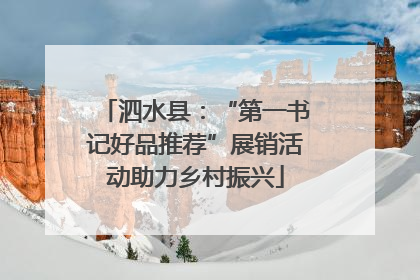 泗水县：“第一书记好品推荐”展销活动助力乡村振兴