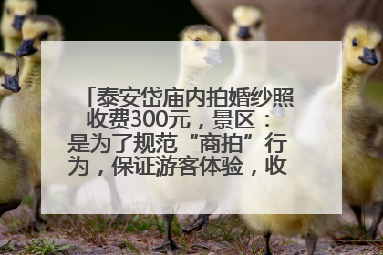 泰安岱庙内拍婚纱照收费300元，景区：是为了规范“商拍”行为，保证游客体验，收取费用全部上交国库