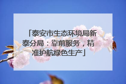泰安市生态环境局新泰分局：靠前服务，精准护航绿色生产
