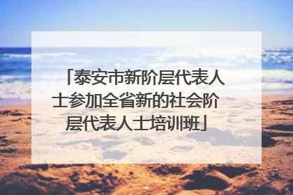 泰安市新阶层代表人士参加全省新的社会阶层代表人士培训班