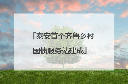 泰安首个齐鲁乡村国债服务站建成
