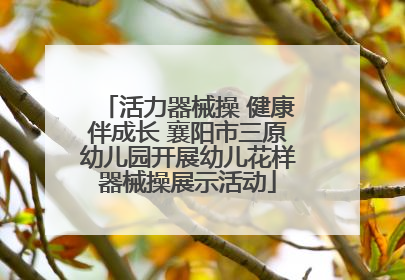 活力器械操 健康伴成长 襄阳市三原幼儿园开展幼儿花样器械操展示活动