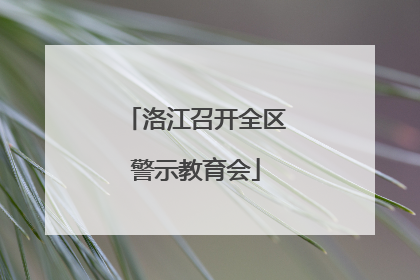 洛江召开全区警示教育会