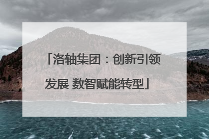 洛轴集团：创新引领发展 数智赋能转型