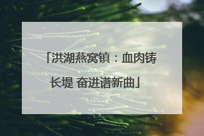 洪湖燕窝镇：血肉铸长堤 奋进谱新曲