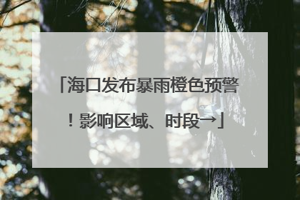 海口发布暴雨橙色预警！影响区域、时段→