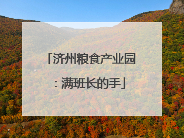 济州粮食产业园：满班长的手