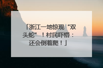 浙江一地惊现“双头蛇”！村民吓懵：还会倒着爬！