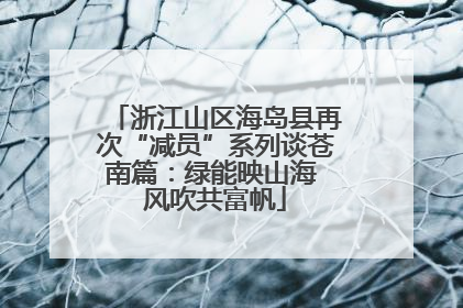 浙江山区海岛县再次“减员”系列谈苍南篇：绿能映山海 风吹共富帆