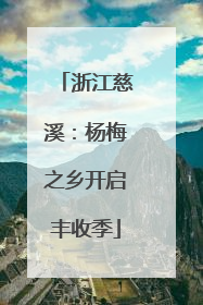浙江慈溪：杨梅之乡开启丰收季
