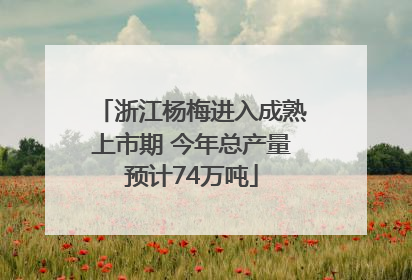 浙江杨梅进入成熟上市期 今年总产量预计74万吨