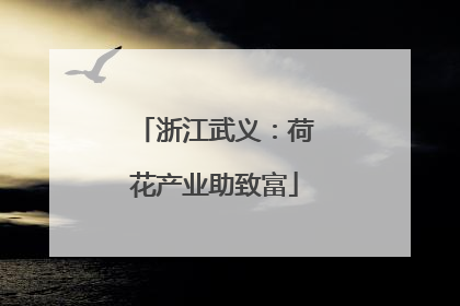 浙江武义：荷花产业助致富