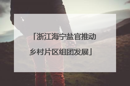 浙江海宁盐官推动乡村片区组团发展