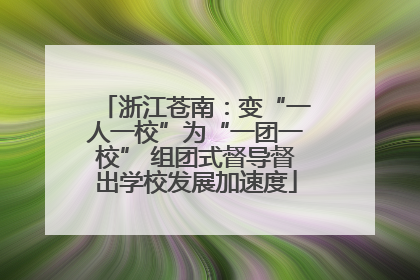 浙江苍南：变“一人一校”为“一团一校” 组团式督导督出学校发展加速度