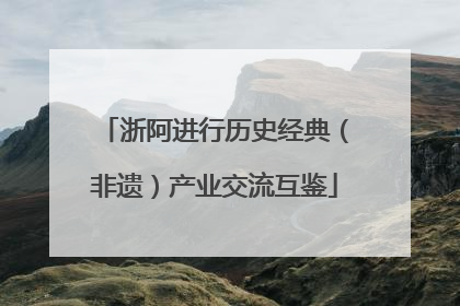 浙阿进行历史经典（非遗）产业交流互鉴