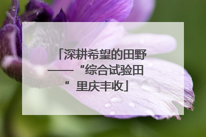 深耕希望的田野——“综合试验田”里庆丰收