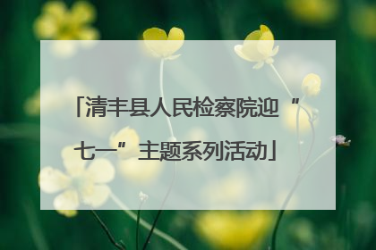 清丰县人民检察院迎“七一”主题系列活动