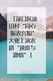 渌口区淦田村“同心振农兴粮”大赛上演农耕“速度与激情”