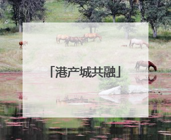 港产城共融