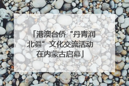 港澳台侨“丹青润北疆”文化交流活动在内蒙古启幕