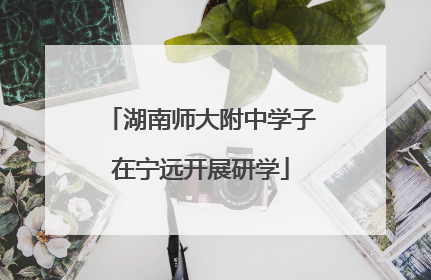 湖南师大附中学子在宁远开展研学