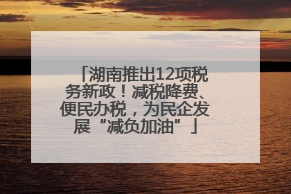 湖南推出12项税务新政！减税降费、便民办税，为民企发展“减负加油”