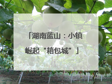 湖南蓝山：小镇崛起“箱包城”