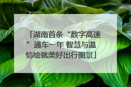 湖南首条“数字高速”通车一年 智慧与温情绘就美好出行图景