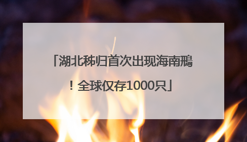 湖北秭归首次出现海南鳽！全球仅存1000只