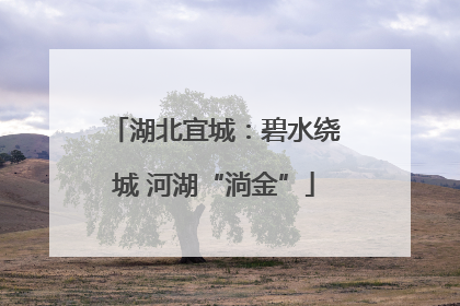 湖北宜城：碧水绕城 河湖“淌金”
