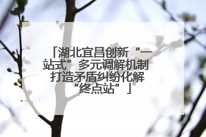 湖北宜昌创新“一站式”多元调解机制 打造矛盾纠纷化解“终点站”
