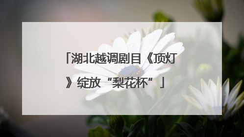 湖北越调剧目《顶灯》绽放“梨花杯”