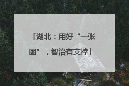 湖北：用好“一张图”，智治有支撑