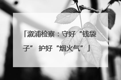 溆浦检察：守好“钱袋子” 护好“烟火气”