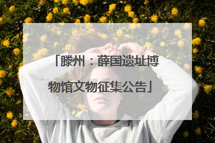 滕州：薛国遗址博物馆文物征集公告