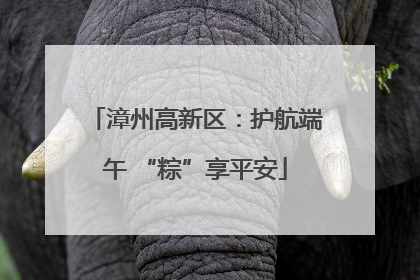 漳州高新区：护航端午 “粽”享平安
