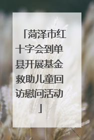 菏泽市红十字会到单县开展基金救助儿童回访慰问活动