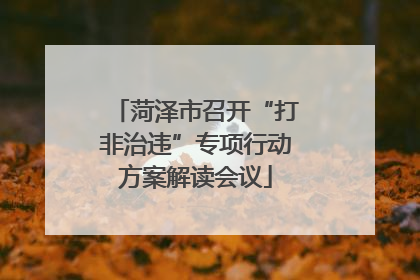 菏泽市召开“打非治违”专项行动方案解读会议