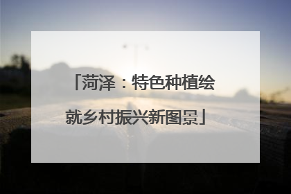 菏泽：特色种植绘就乡村振兴新图景