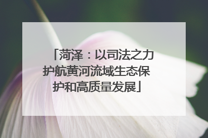 菏泽：以司法之力护航黄河流域生态保护和高质量发展
